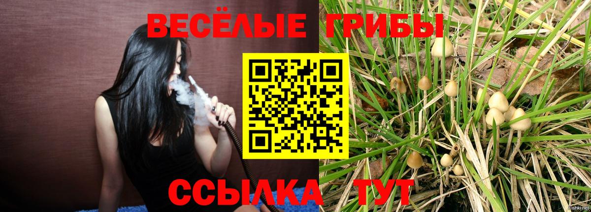 Шумерля  Псилоцибиновые грибы GOLDEN TEACHER  Вход с VPN 